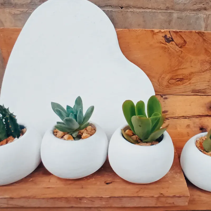 Set de plantas minimalista 