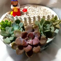 Terrario de gnomos 