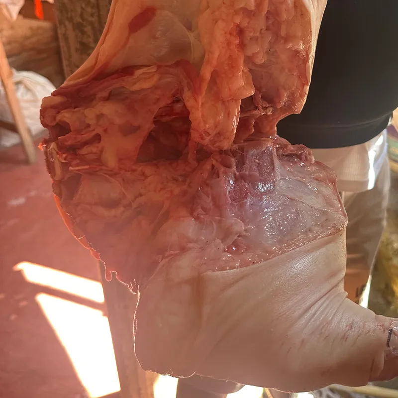 Carne de cerdo 