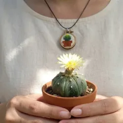 Collares de cactus 