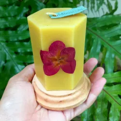 Velas Pêtalos de Rosa Roja