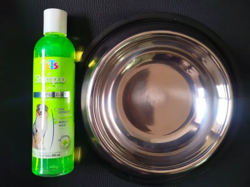 Accesorios para Perros y Gatos 🐶😸