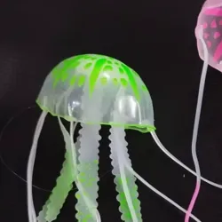 Medusas fluorescentes 