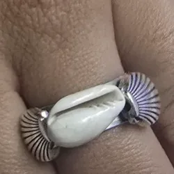 Anillo marino