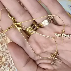 Argollas de libélulas