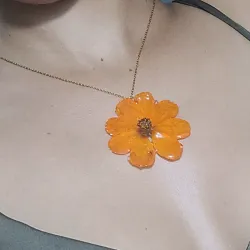 Colección LIRIOS