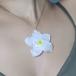Colección LIRIOS