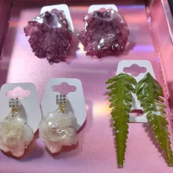 Colección Natureza 🍃