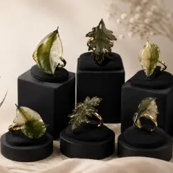 Colección Natureza 🍃