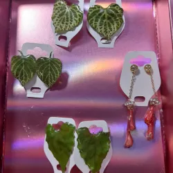 Colección Natureza 🍃