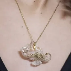 Collar dorado marino