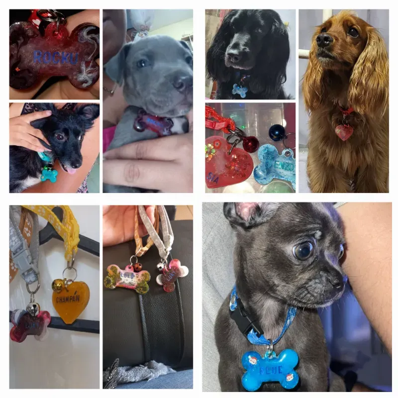 Plaquitas de identificación para mascotas 