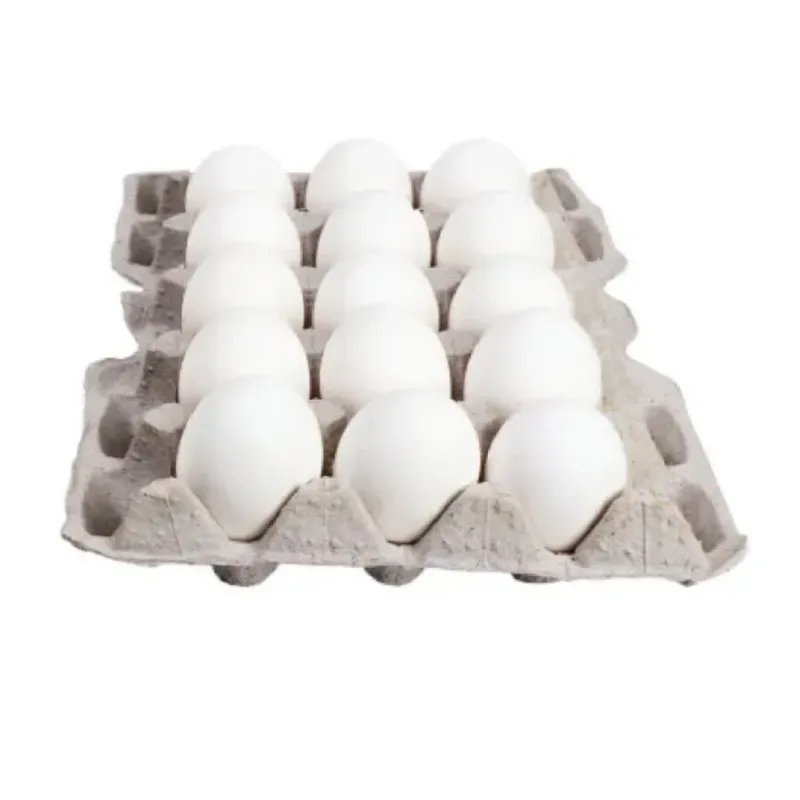 Cartón de 15 huevos 