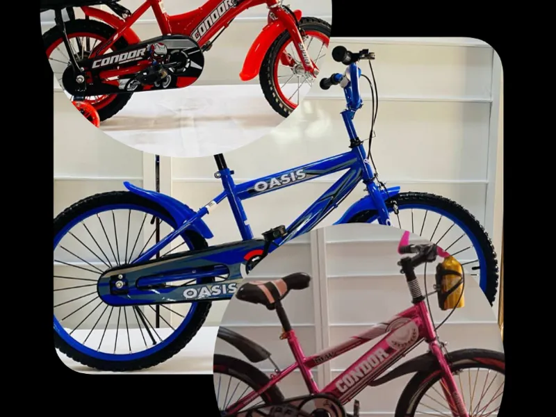 Bicicletas 
