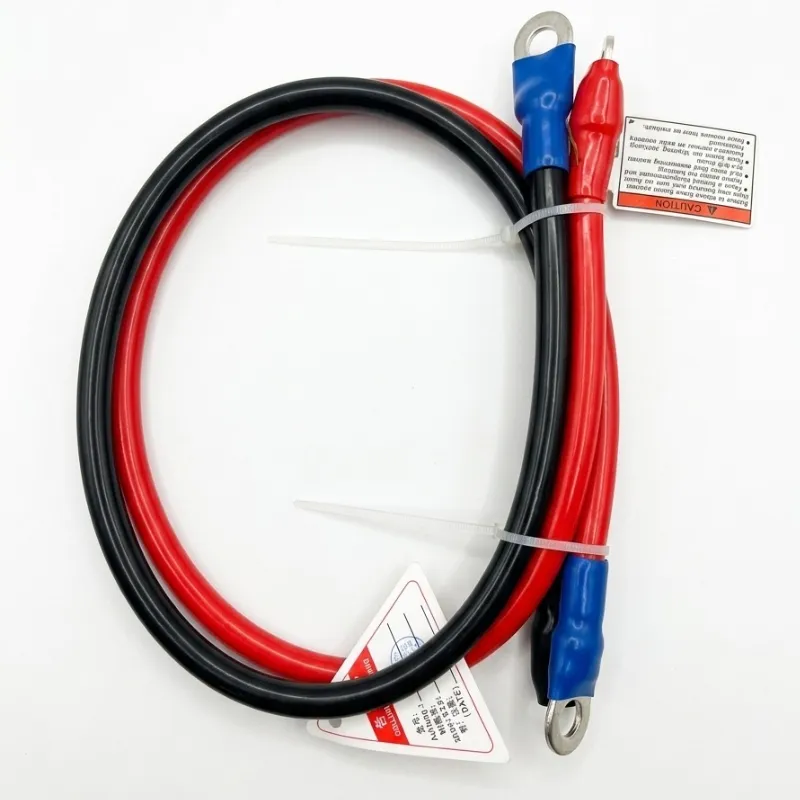 Inversor 12V 3000W