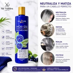Mascarilla matizadora mora azul