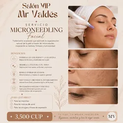 Microneelding Facial 