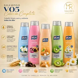 Shampoo d varias fragancias