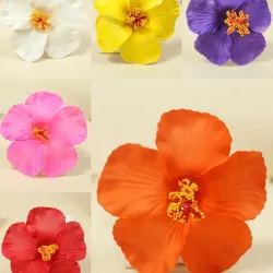 Ganchos de Flor Hawaiana