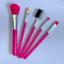 Juego de 5 brochas 