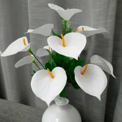 Anturios artificiales - blancos