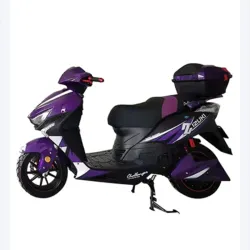 Moto eléctrica (Motorina)