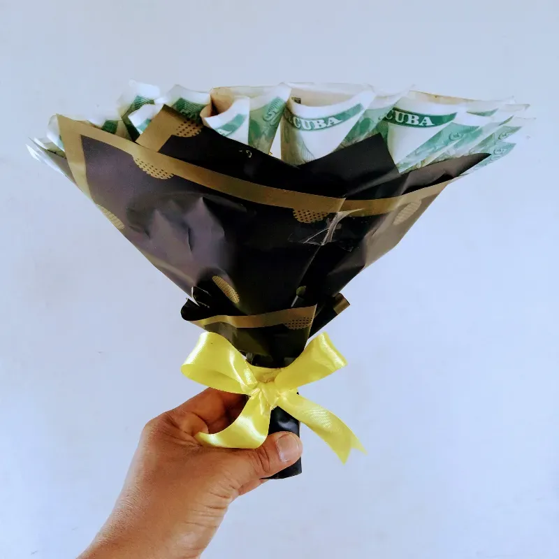 Ramo de dinero