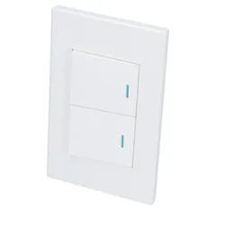 Placa con 2 switch 
