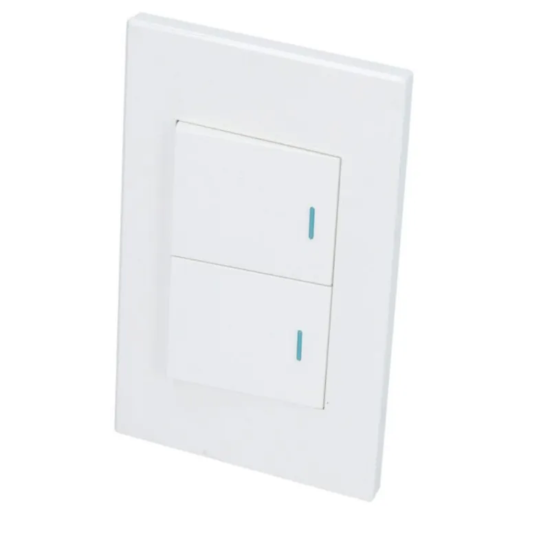 Placa con 2 switch 
