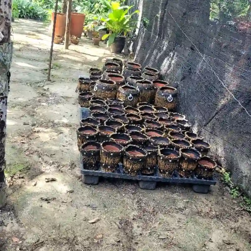 Macetas
