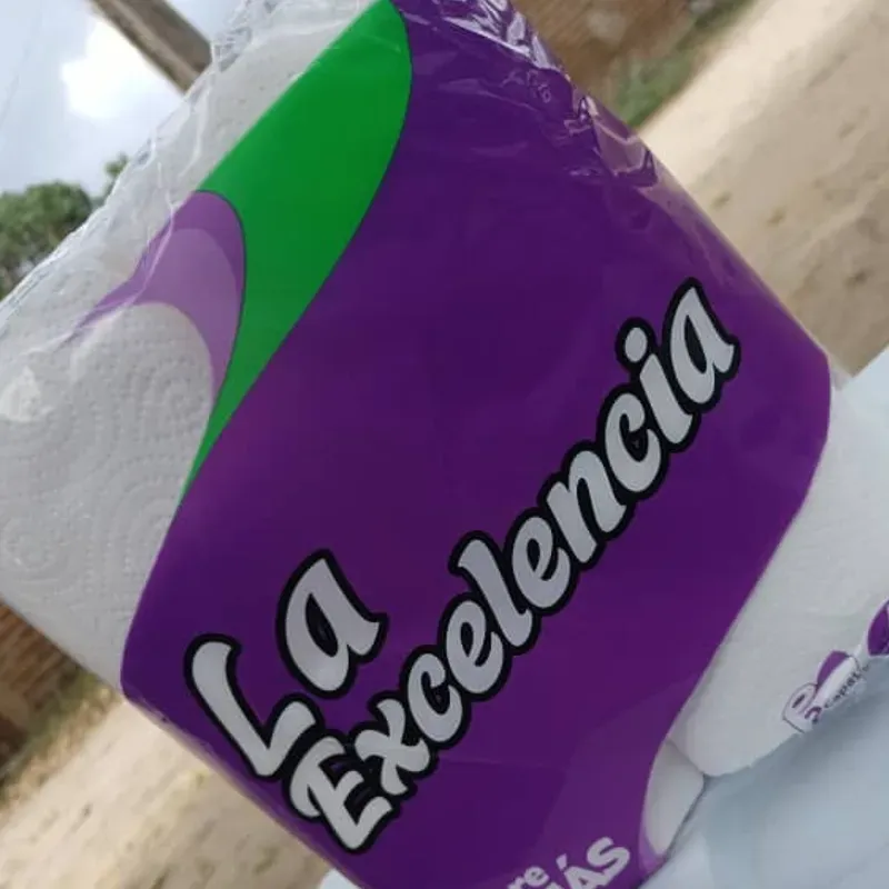 Papel sanitario 