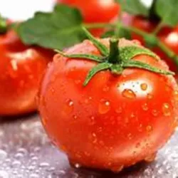TOMATE