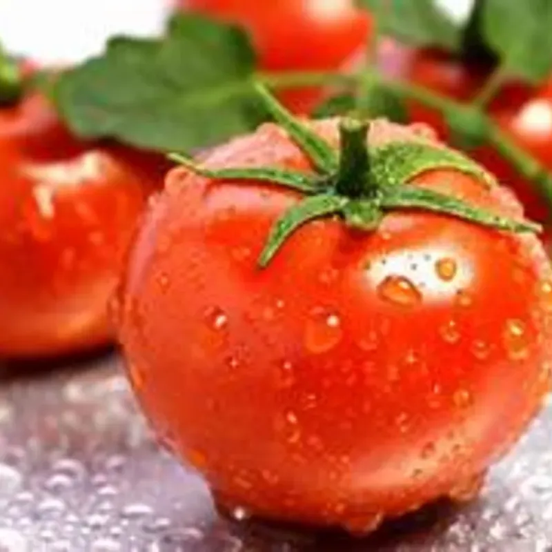 TOMATE