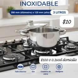 Caldera de acero inoxidable 3L