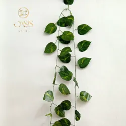 Adorno de planta