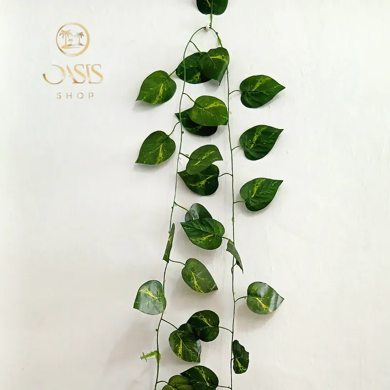 Adorno de planta