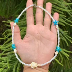 Tortuga y Estrellas azules 
