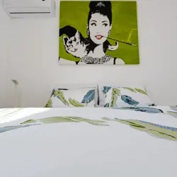 Alquiler 171, 172, 294