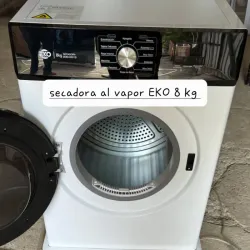 Secadora al vapor 