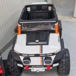 Carro electrico
