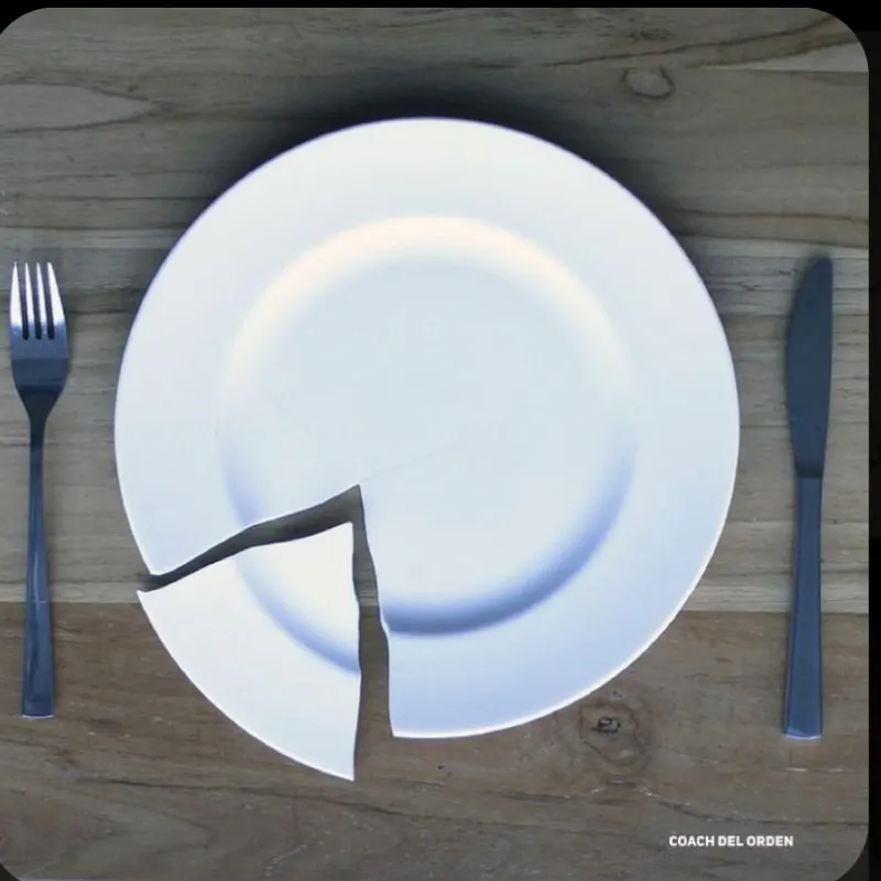 Plato Roto