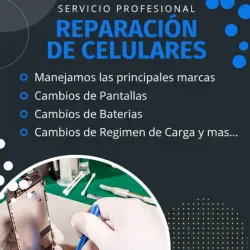 Remplazos de Pantallas, Baterias y Regimen de Carga