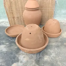 Combo de San Lázaro 