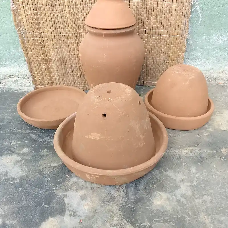 Combo de San Lázaro 