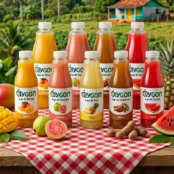 Jugo de Coctel 330ml