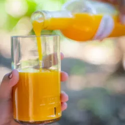 Jugo de Mango 700ml
