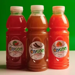 Jugo de Mango Natural 330ml
