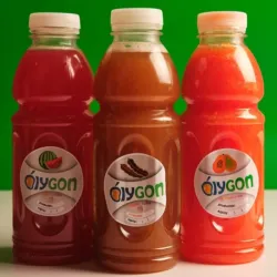 Jugo de Melón 330