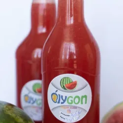 Jugo de Melón 700ml