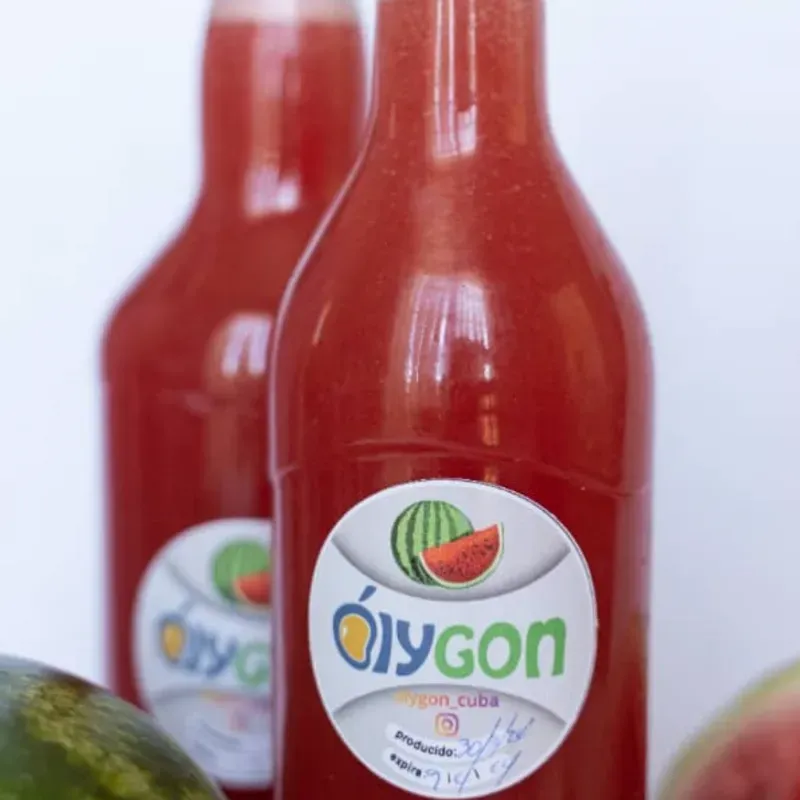 Jugo de Melón 700ml